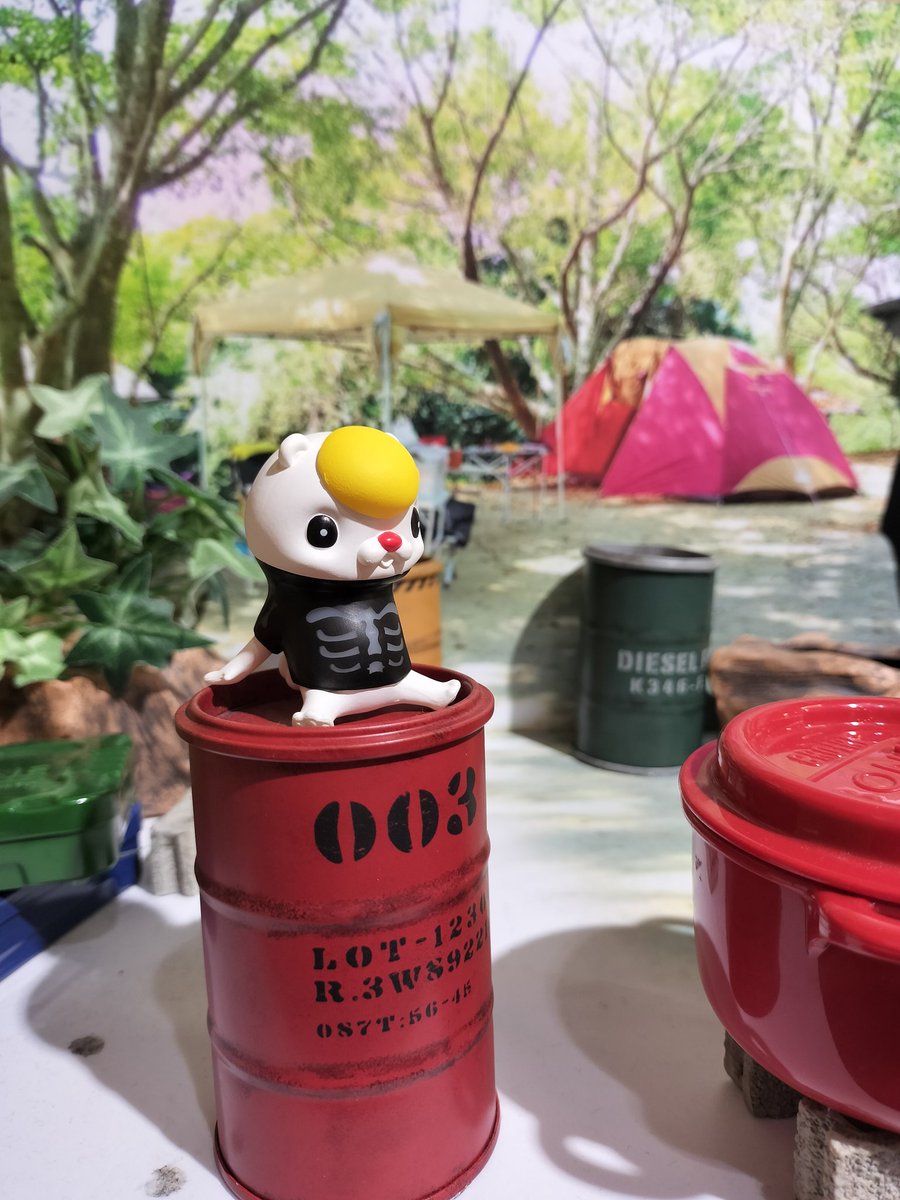 星逆 志夜 tweet media