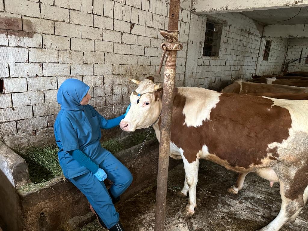 Ülkemizin tarımsal üretiminin geliştirilmesi, gıda güvenliğinin sağlanması ve kırsal kalkınmanın desteklenmesi için özveriyle çalışan Tarım ve Orman Bakanlığımızın değerli kadın çalışanlarının 8 Mart Dünya Kadınlar Günü’nü kutluyoruz.