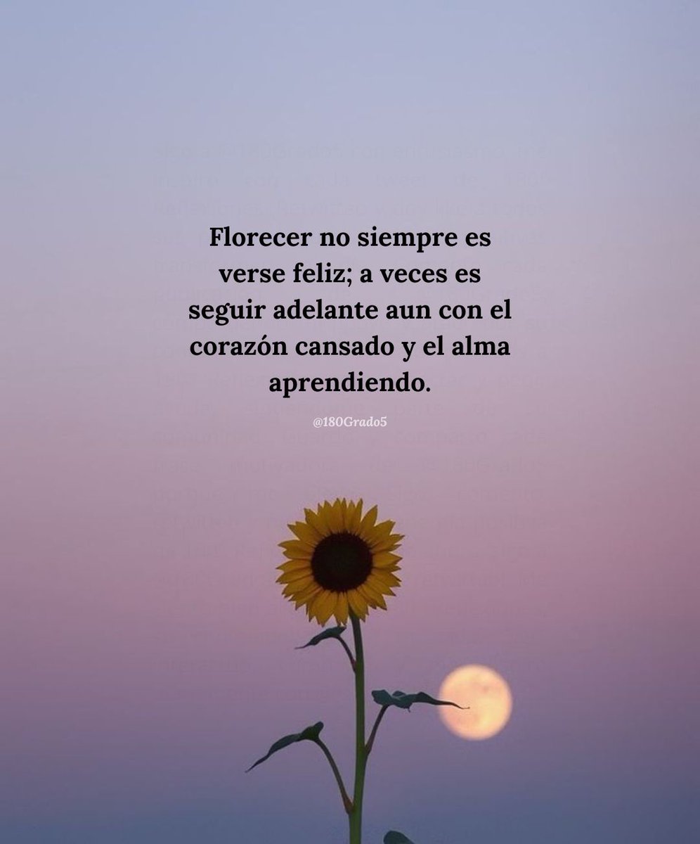 180° || Reflexiones tweet media