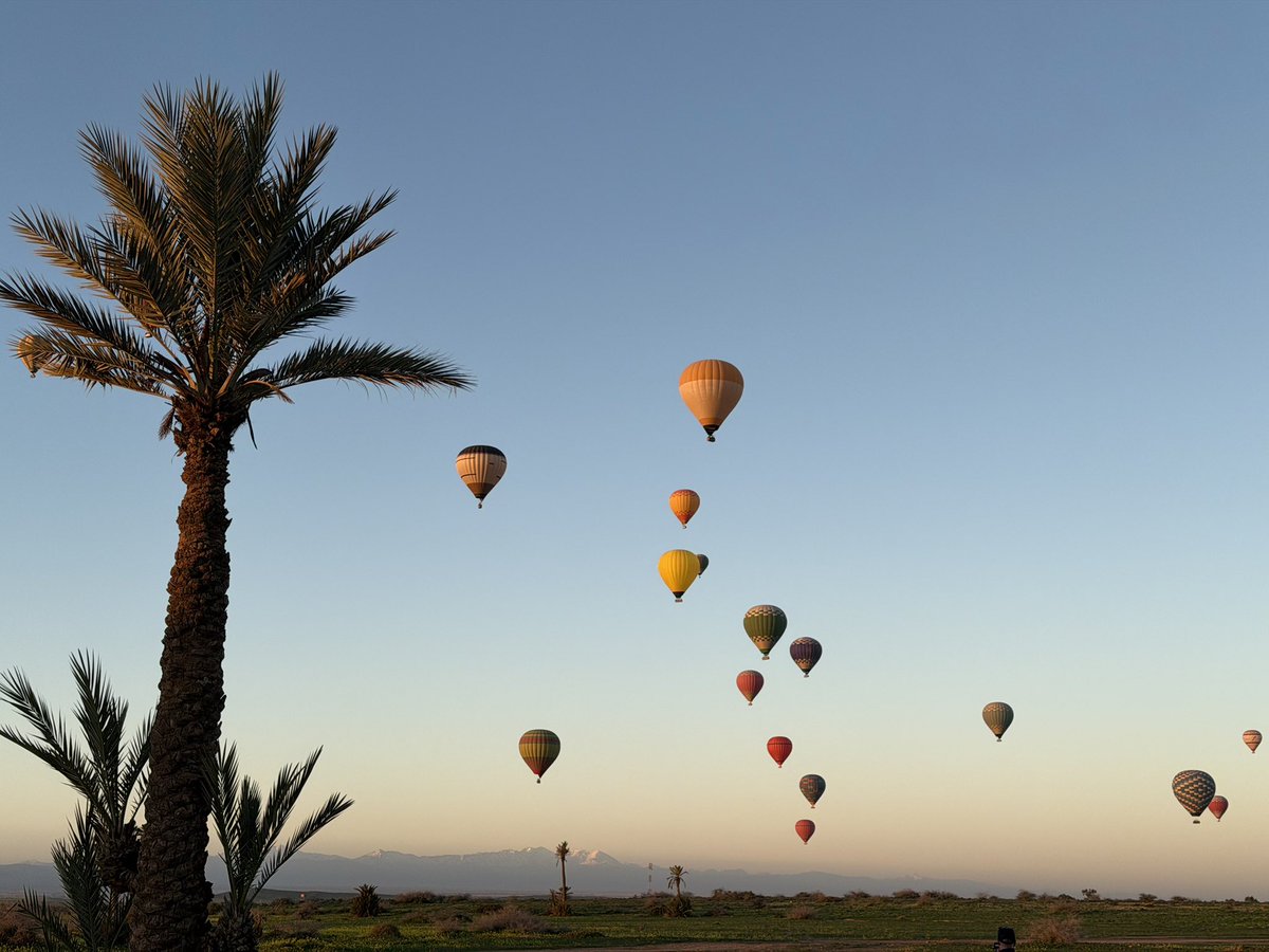 Art by Heim (Johnny) tweet media