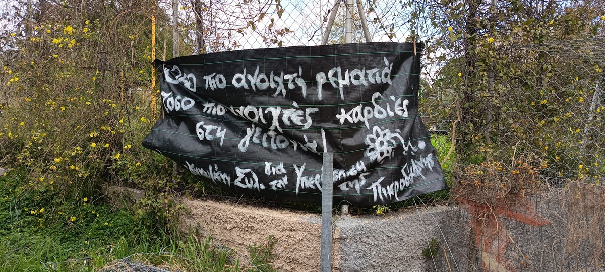 Μάχη Αναλάτου tweet media