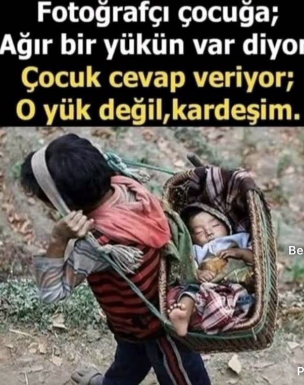 suzer_sefa's tweet photo. https://t.co/iWNqIqtKkT