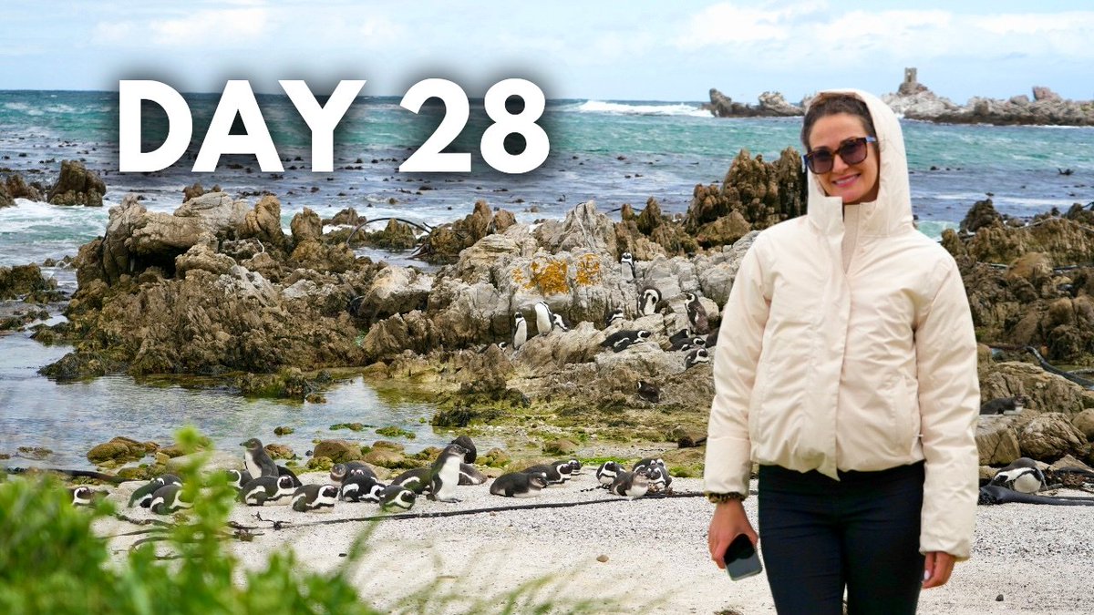 🚙 Day 28/33 of our South African Road Trip! 🐳 We pass through the mountains of Stellenbosch and drive our Suzuki Jimny along one of the most beautiful coastal drives in the Western Cape🐧🇿🇦 youtu.be/E7hySEtk7-c?si… via <a href="/YouTube/">YouTube</a>