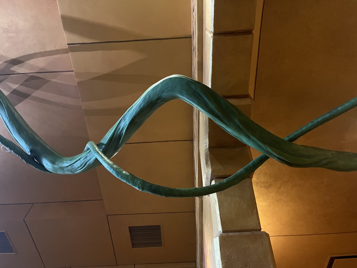 ＜やの tweet media