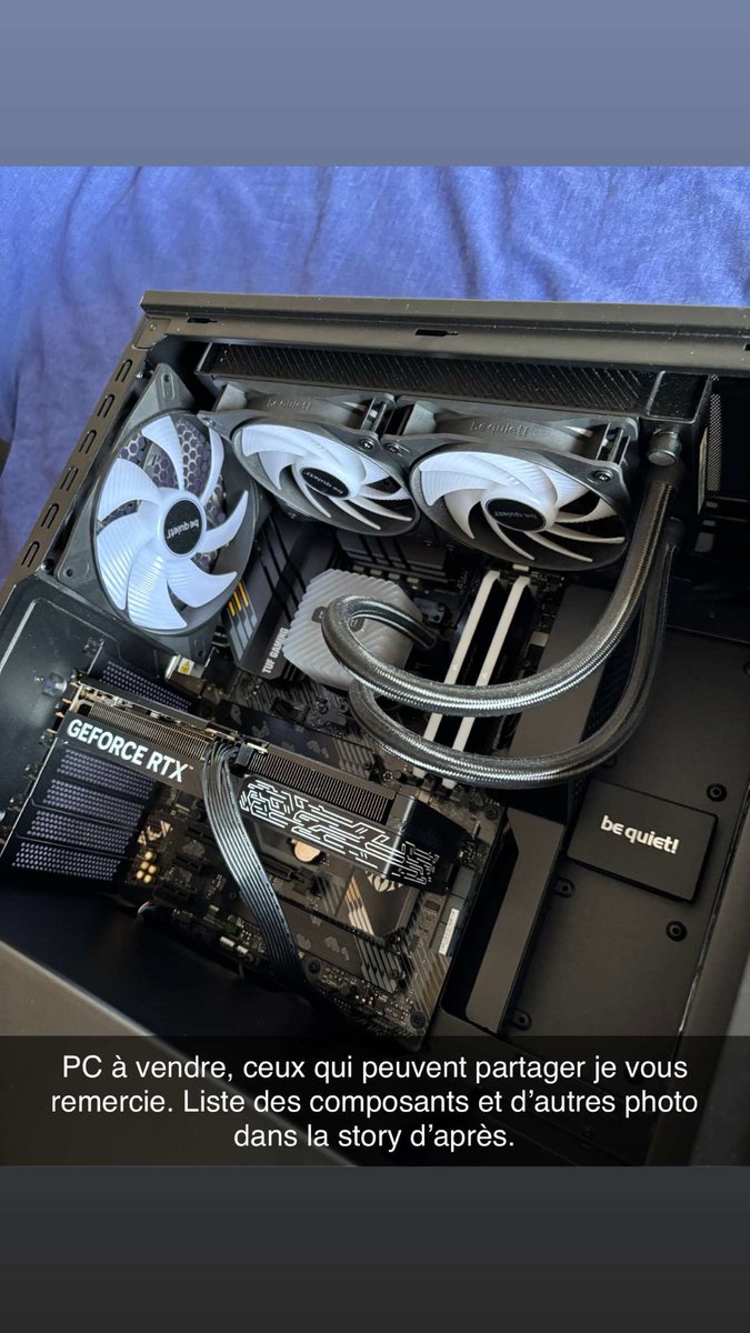 Freeesamos tweet media