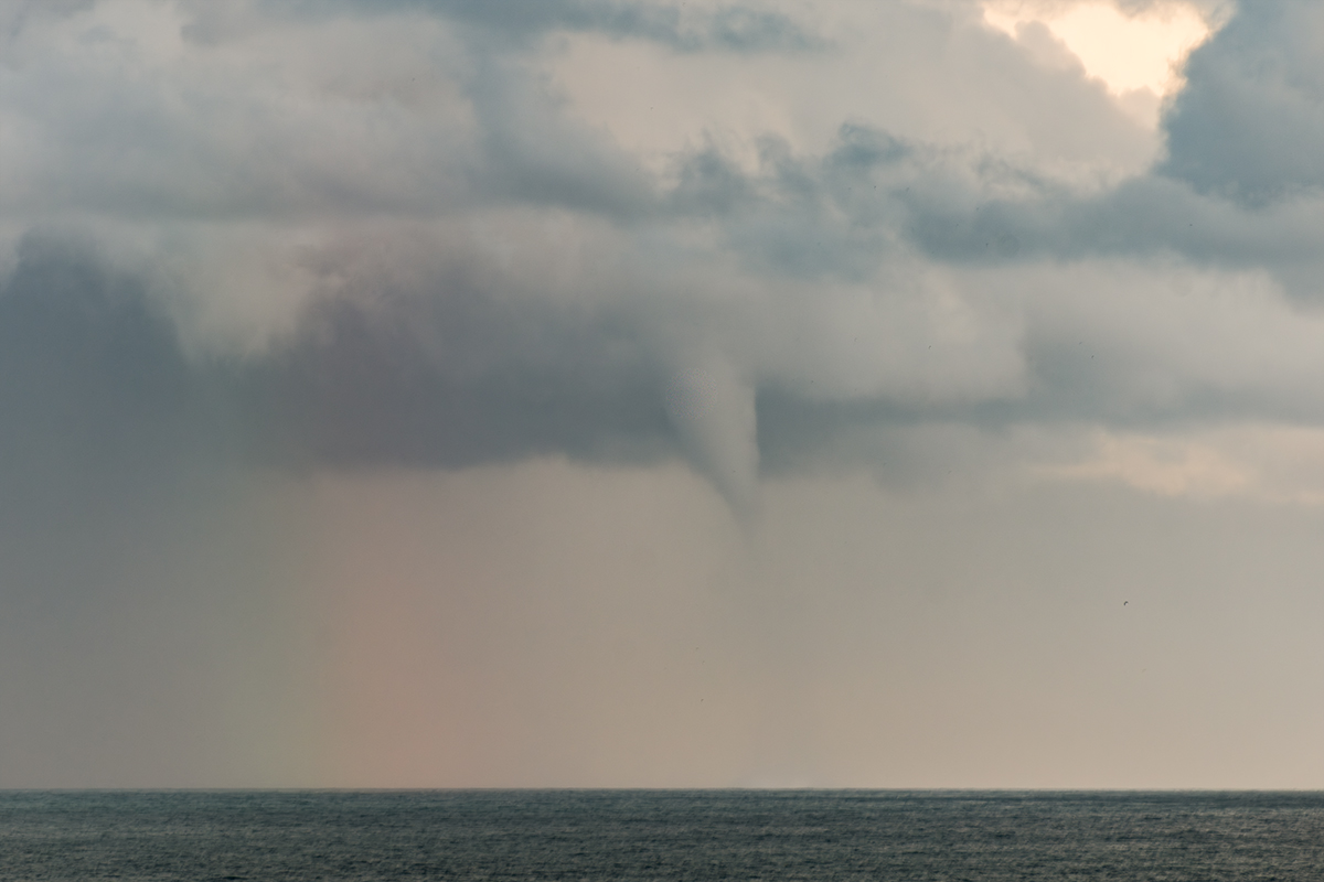 AME Asociación tweet media