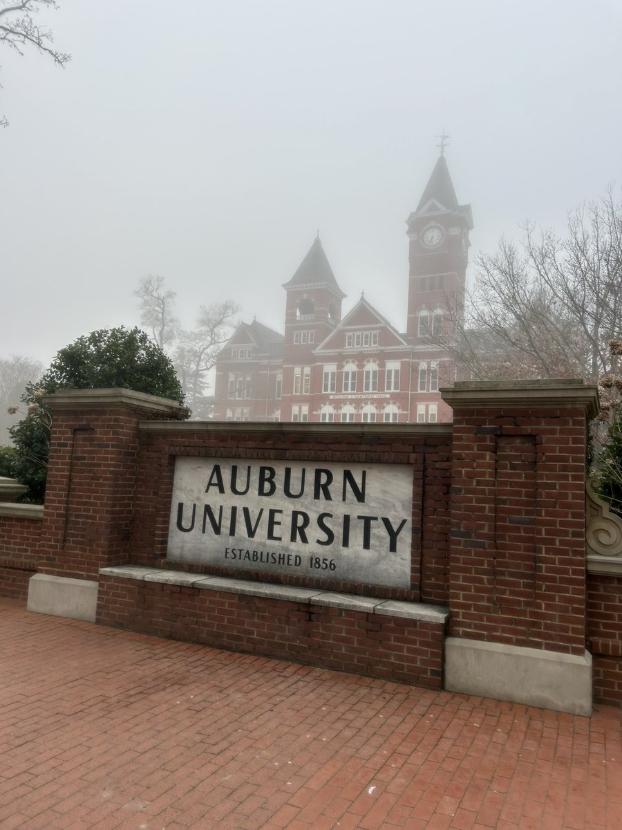 Kyle Kallhoff tweet media