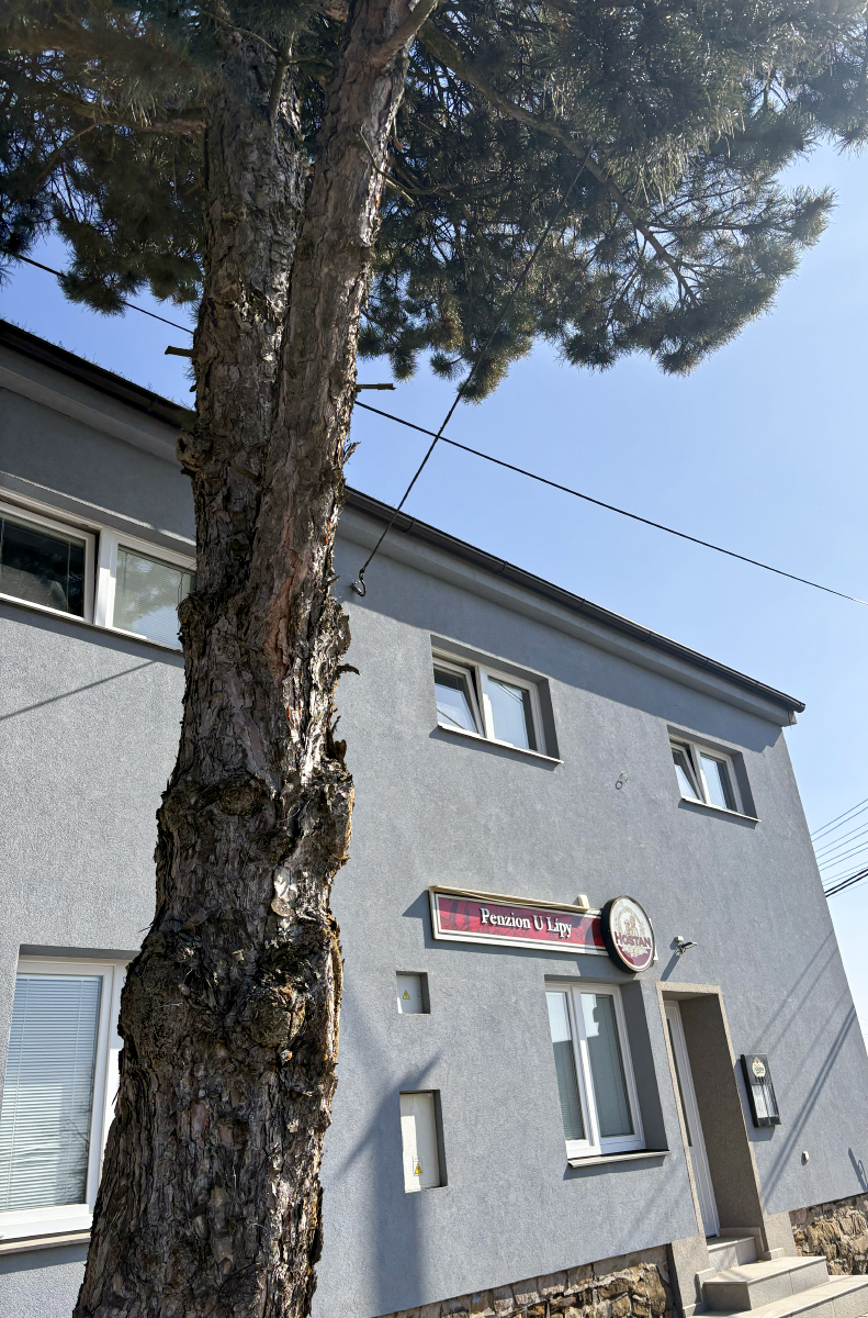 Jaroslav Macháček tweet media