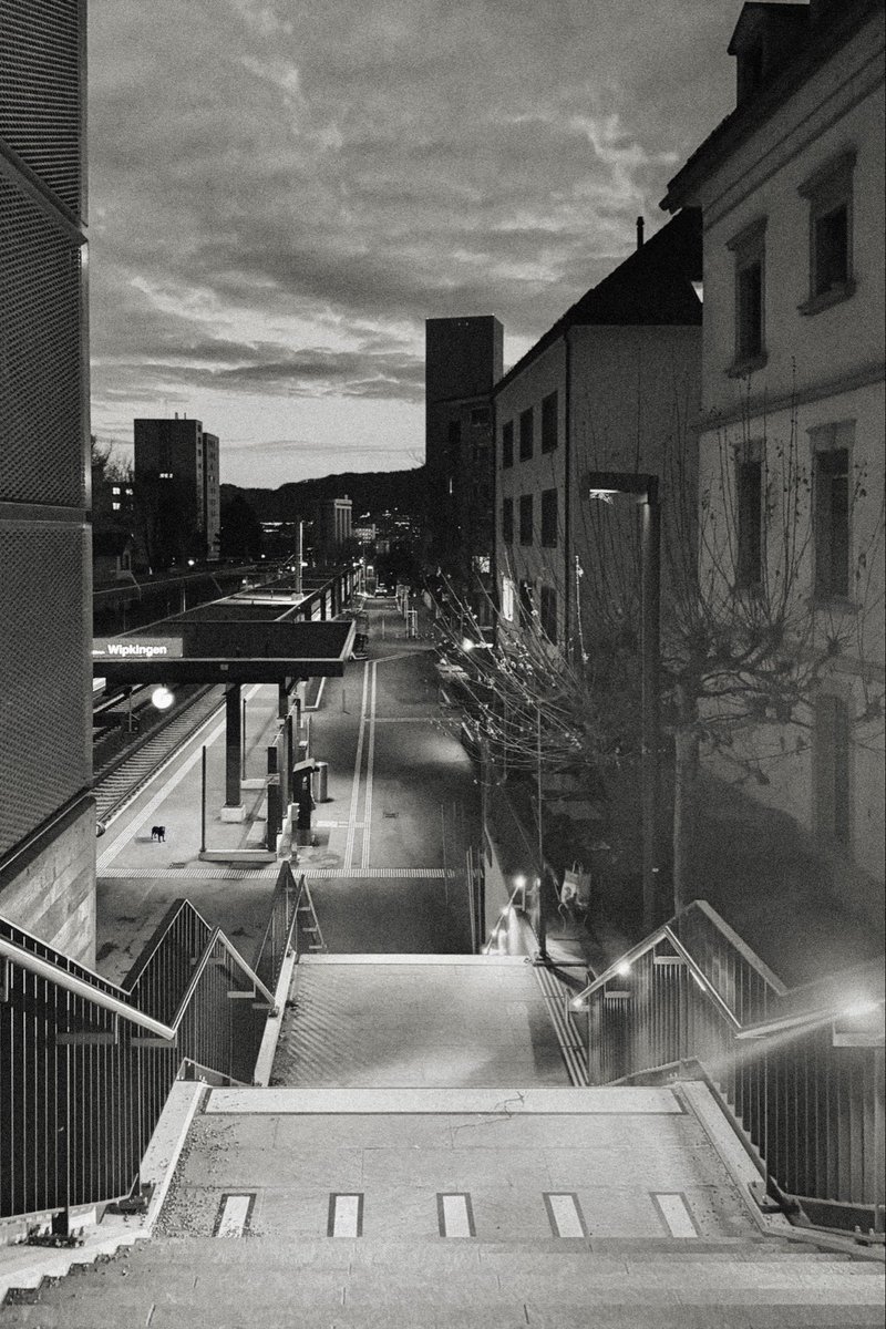 BedaBrunnerPhotography tweet media