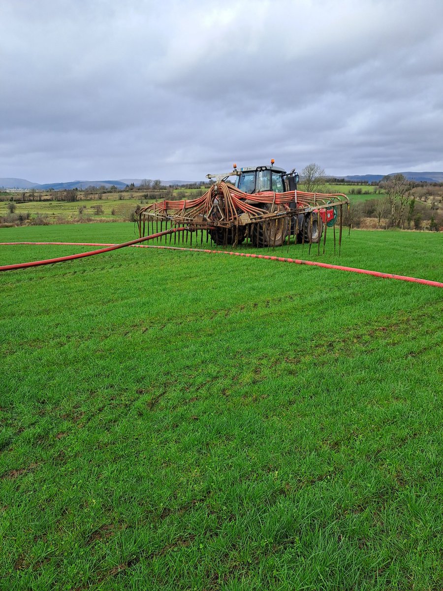 SligoRobotman tweet media