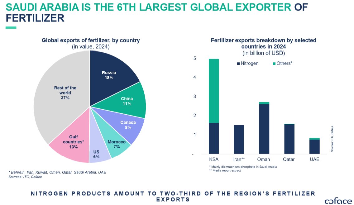 Sohbet Karbuz tweet media