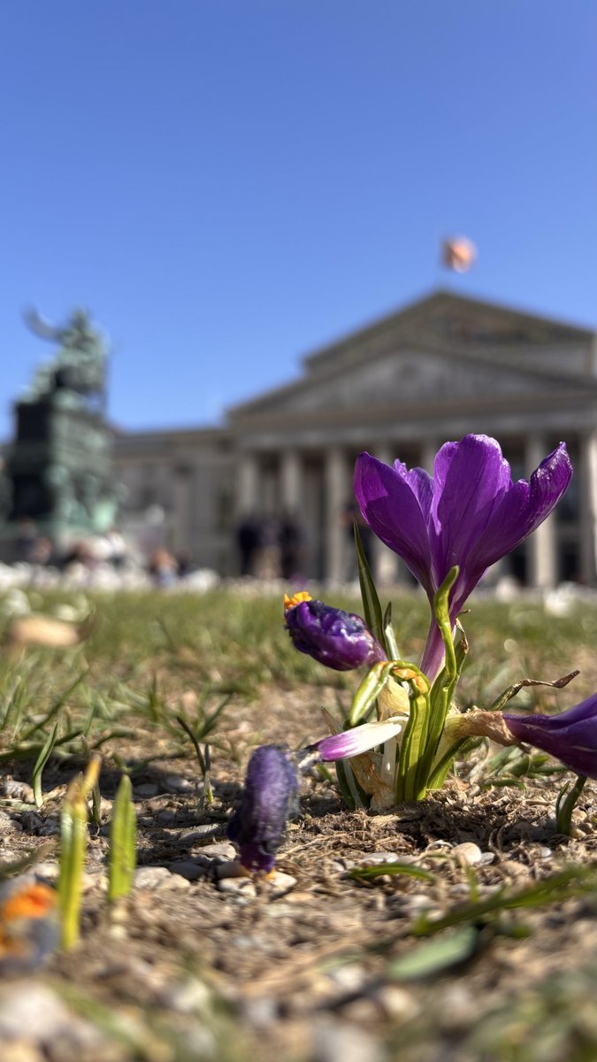 IsabelFMunich's tweet photo. #Munich #Nationaltheater #BayerischeSaatsoper https://t.co/yWto5Or7aV