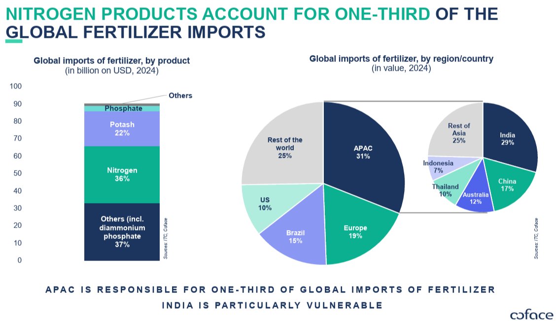 Sohbet Karbuz tweet media