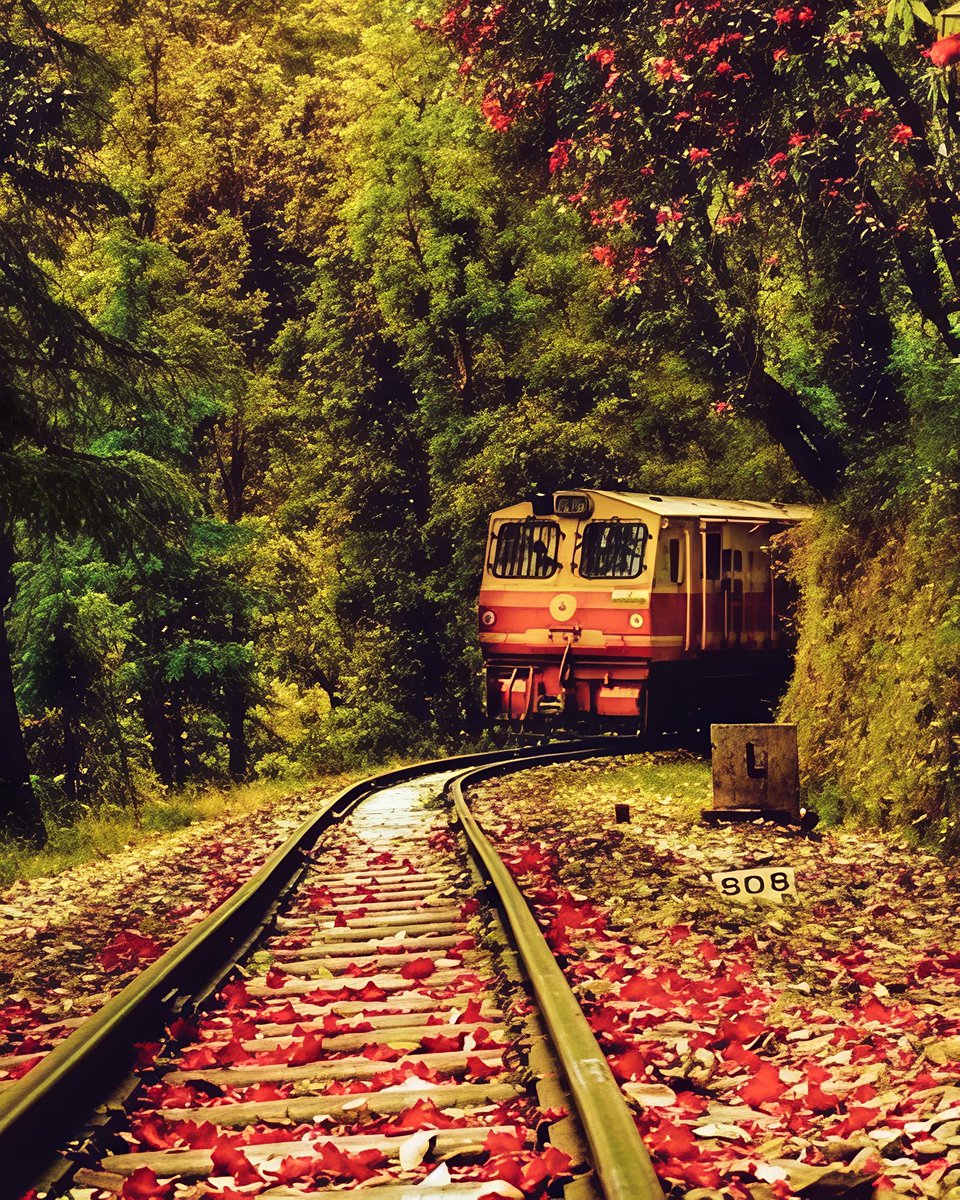 Himanshu Misra 🇮🇳 tweet media