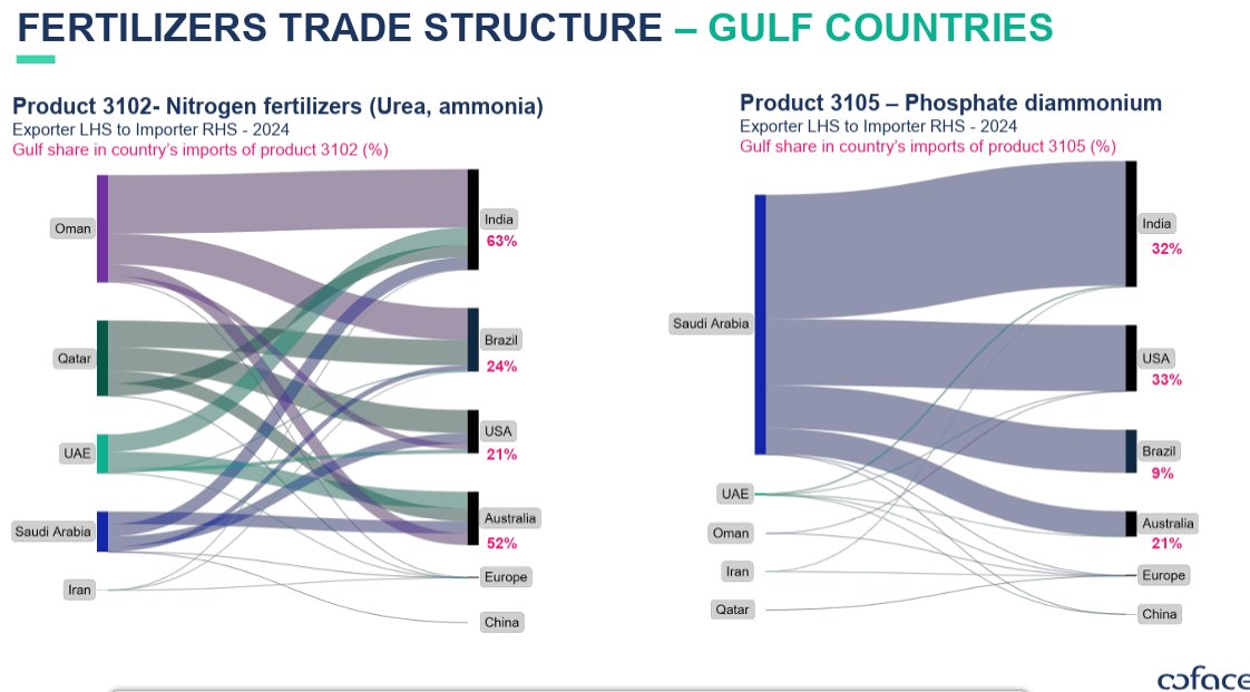 Sohbet Karbuz tweet media