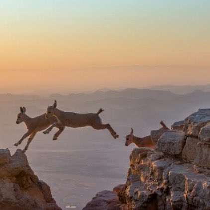 Ibex555's tweet image. Very soon we will get many more eyes and serious buyers. The content we provide is real and original and the jump will definitely come.@ibex
t.me/ibex5
#CryptoRevolution 
B1dfsVgfwGxgEoZ5fKKg3naEecuBXnK9tAjF9eaGpump