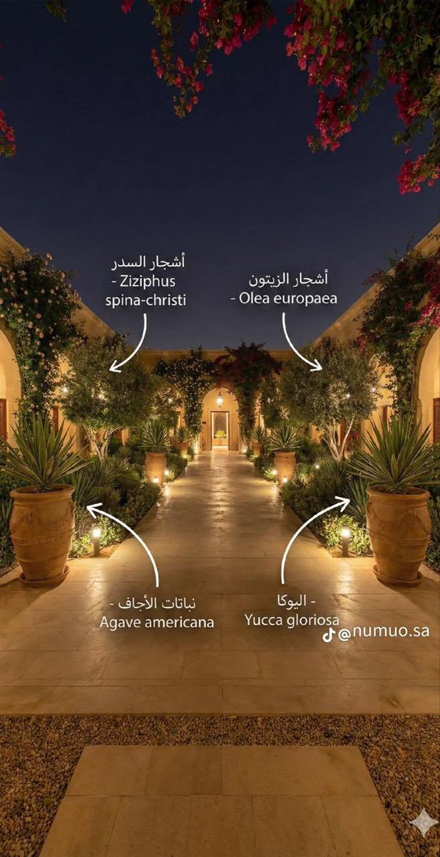 مهندسة معمارية | سمر داود tweet media