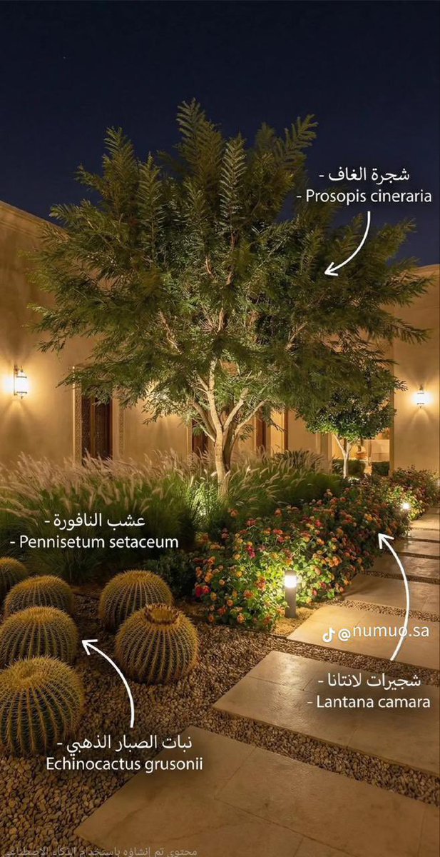 مهندسة معمارية | سمر داود tweet media