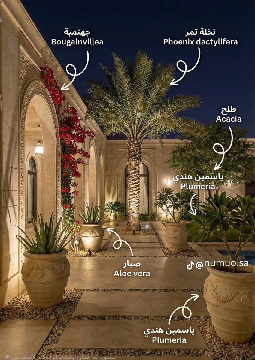 مهندسة معمارية | سمر داود tweet media