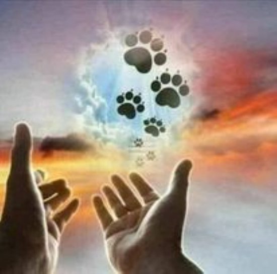 Flo de Flo tweet media