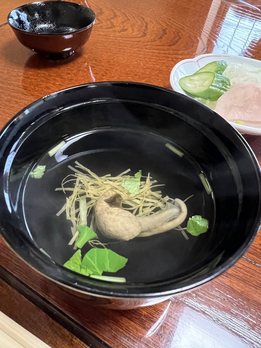 ブッ込みもりん【みもりん】 tweet media