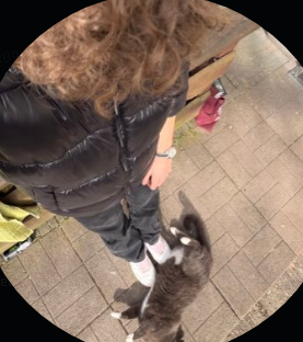 efeeeeeeeeeeeeeeeeeeeeeeeeeeeeeeeeeeeeeeeeeeeeeeee tweet media