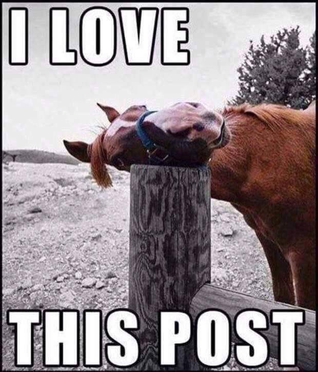 bongo kronik tweet media