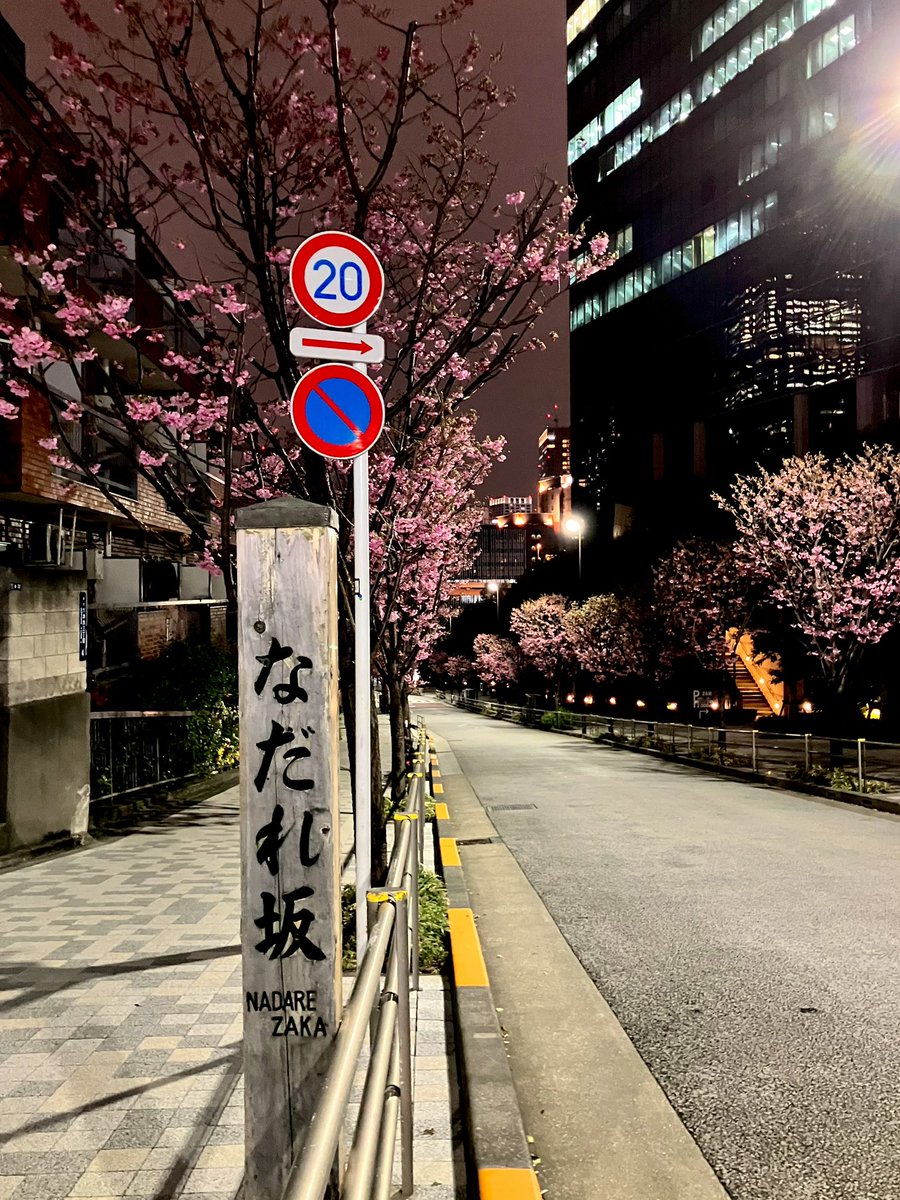 赤城条治 tweet media