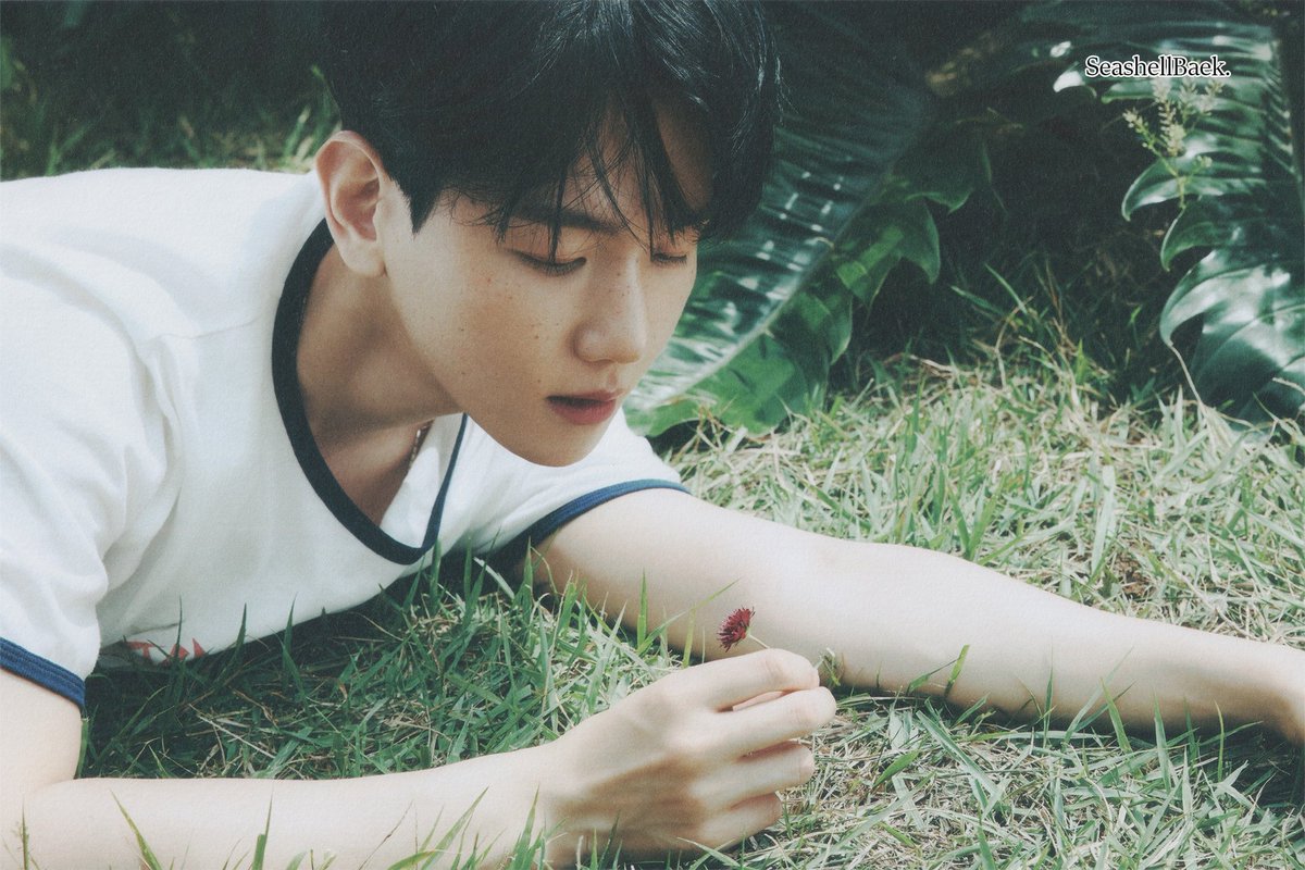 hourly baekhyun 🤍 tweet media