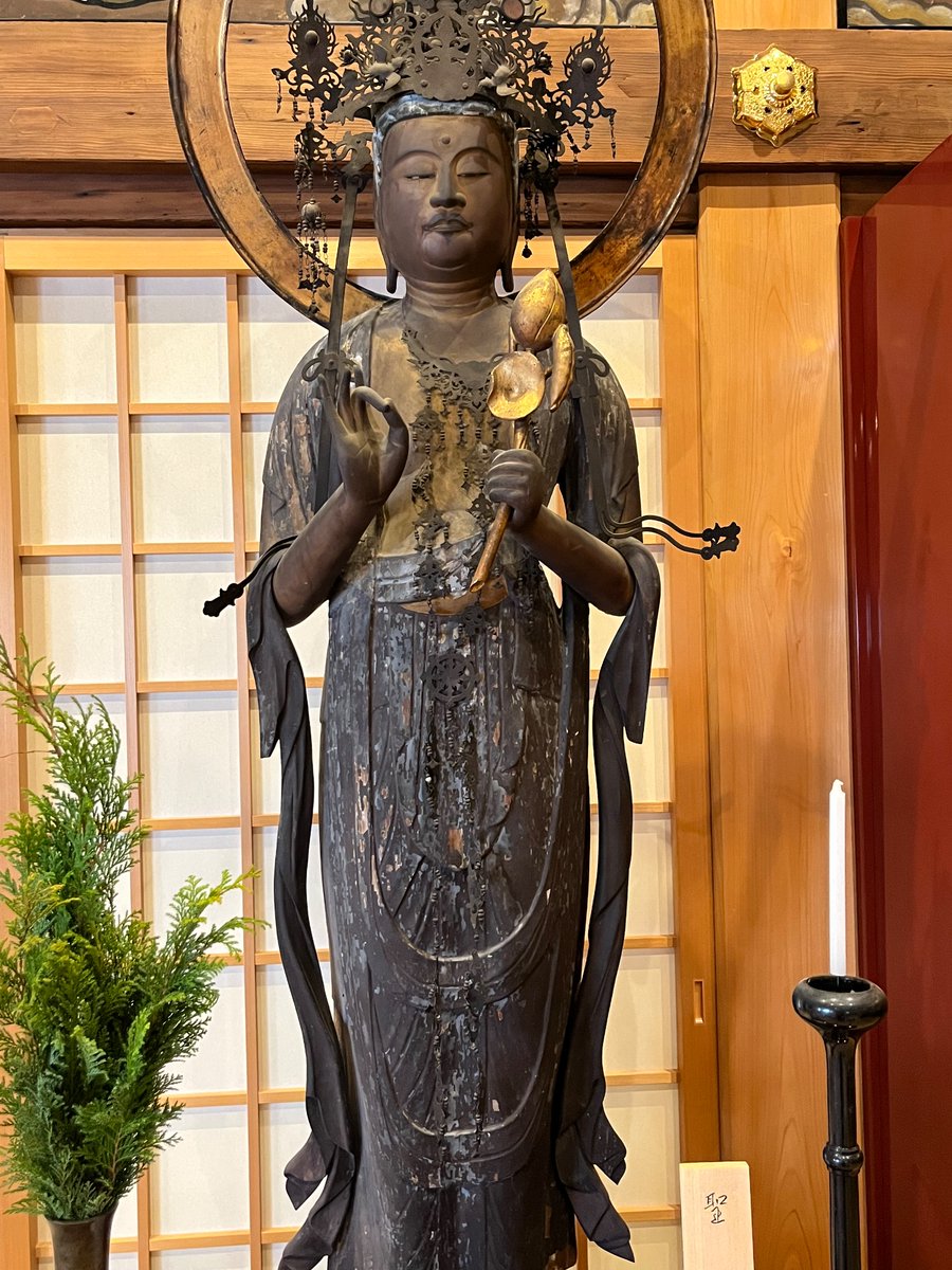 sedaielp昴 tweet media