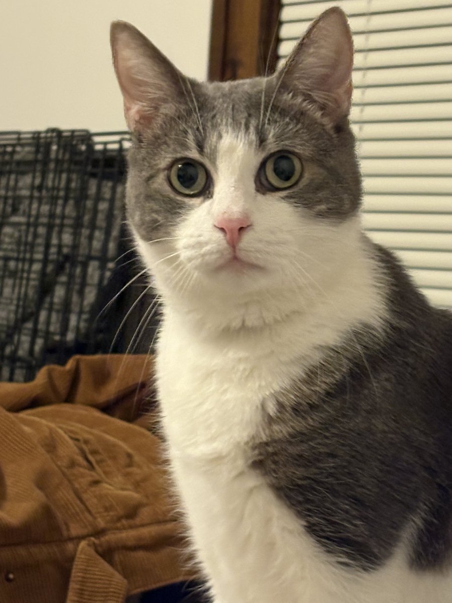 haze ✩ tweet media