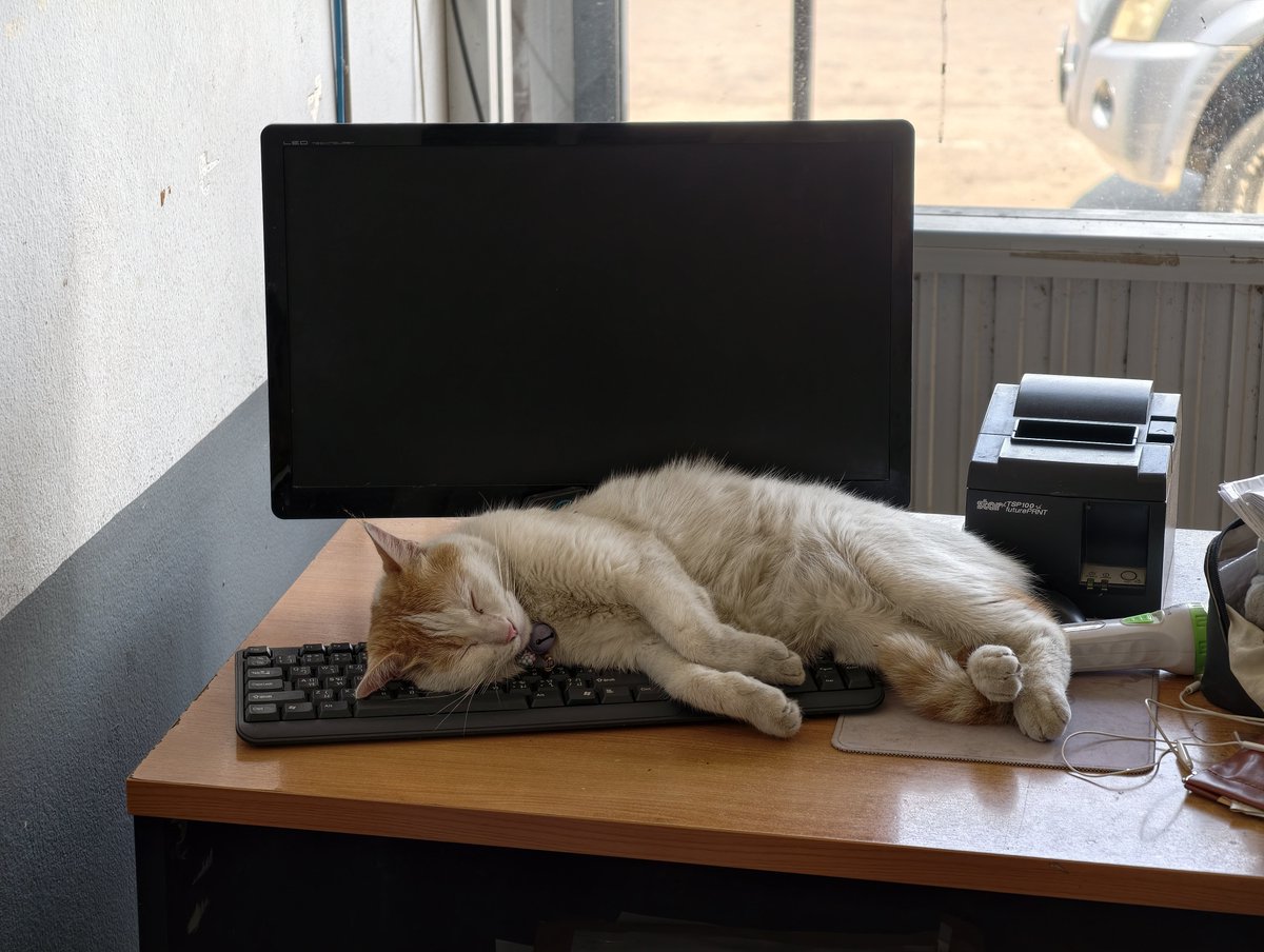 ᴋʜᴜɴ:ᴛ tweet media