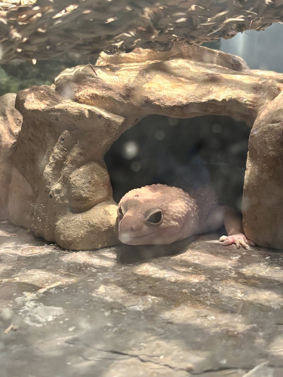 Kristi K. Higgins 🦋 tweet media