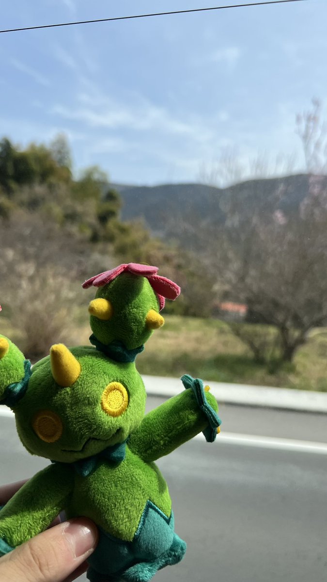 yuimaru_PokeGo's tweet photo. 自然とマラカッチ https://t.co/JXWGayokXM