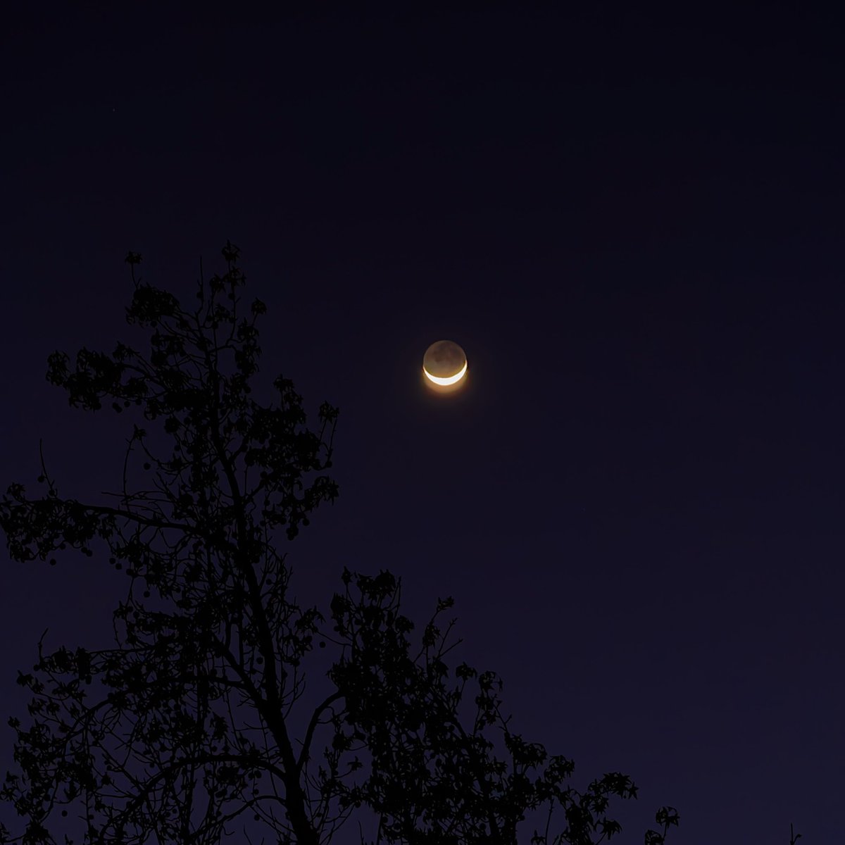 doomergirl🏹 tweet media