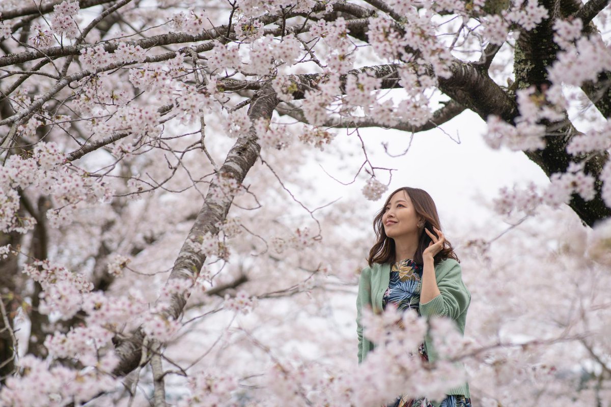kousha2014's tweet photo. ／
東紀州桜情報
＼

ZTVの番組サキドリで東紀州の桜情報を放送しています！

番組で取り上げた桜スポットは東紀州観光手帖をチェック！

https://t.co/KqrCnQsQGt https://t.co/rsVUNMS08j