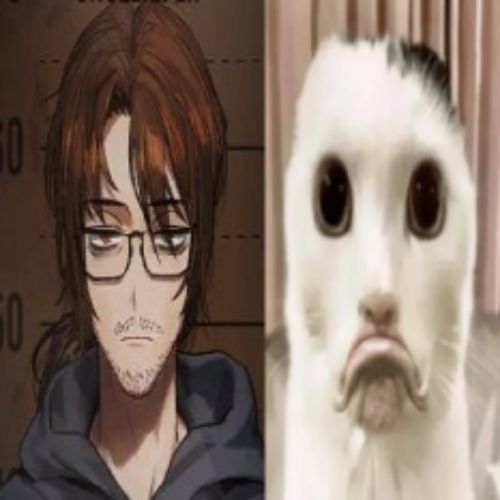 Omenvuto loz muprup🇻🇳 tweet media