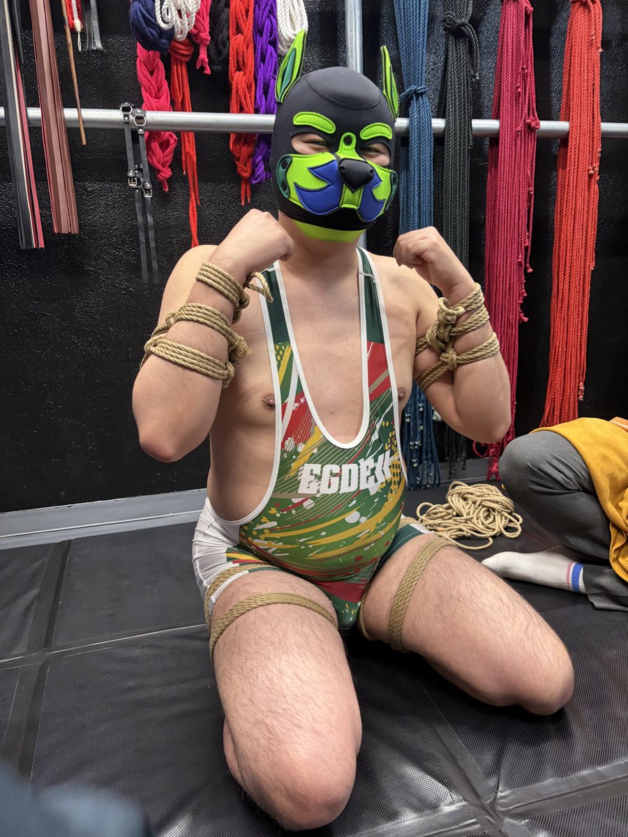 れっくす/Pup Rex tweet media