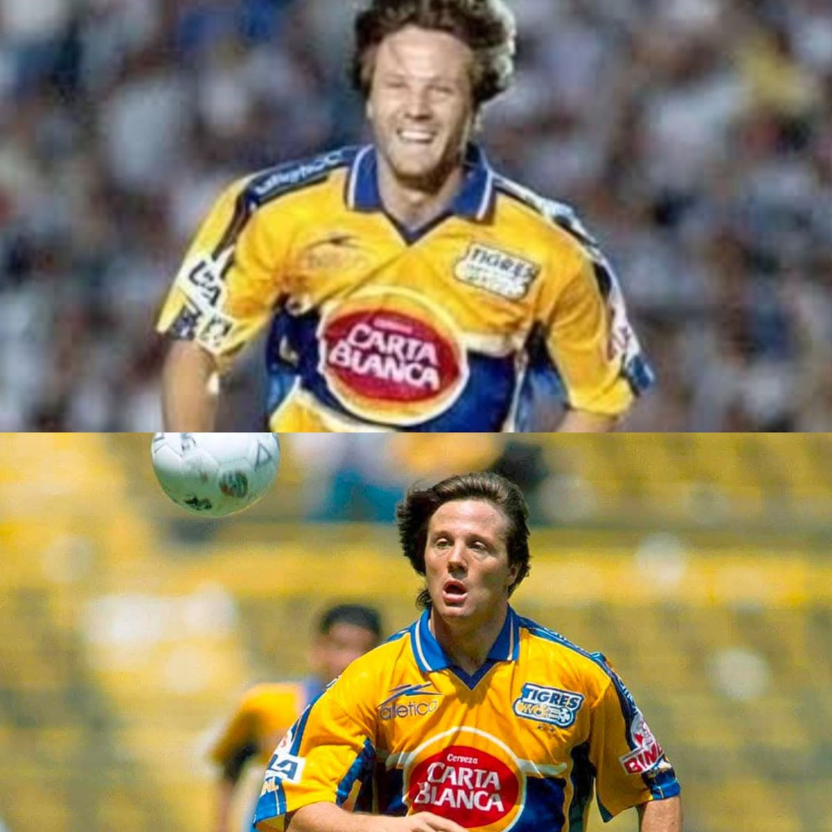 El Tigre Guanajuatense ♧ tweet media