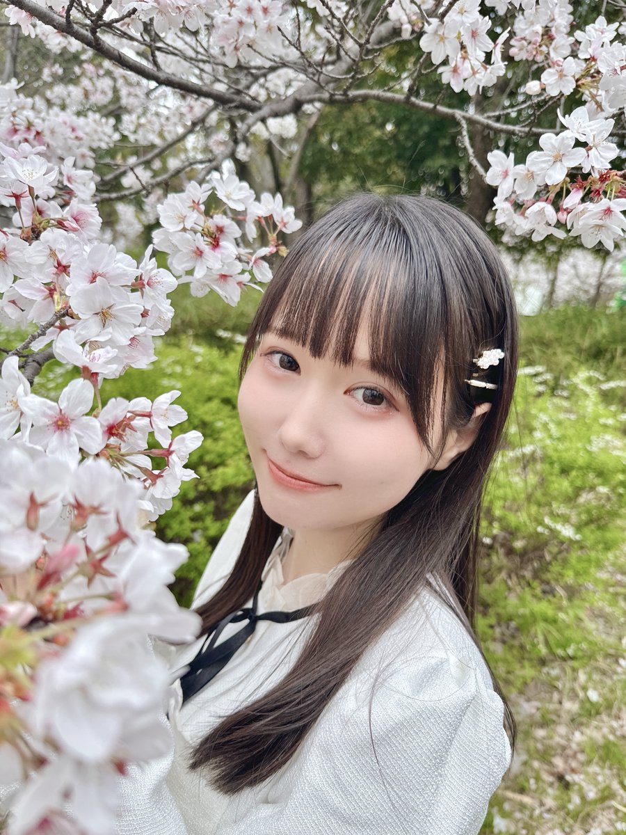 星井あお🧸🎸 tweet media