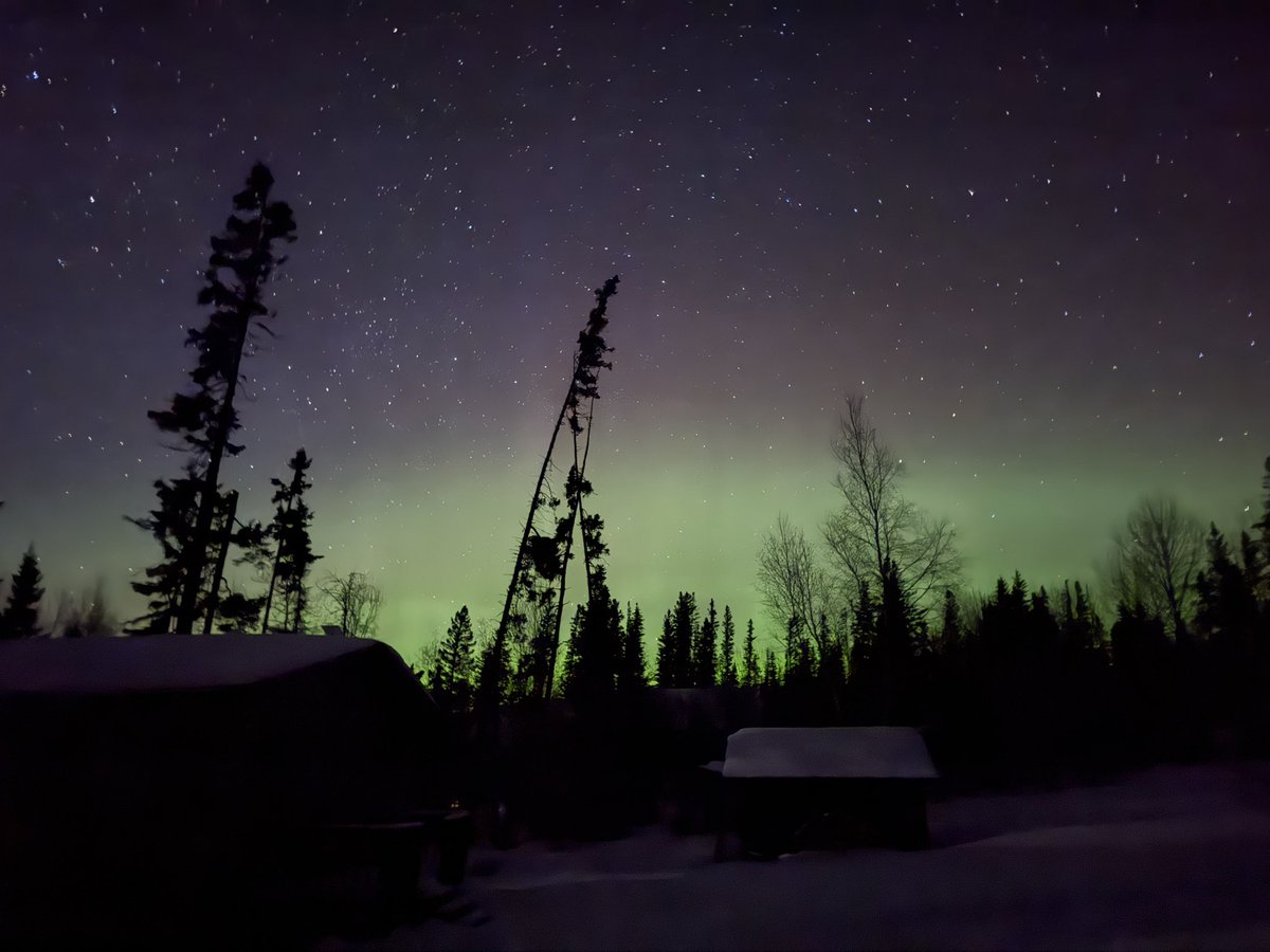 Jeremy Rand tweet media