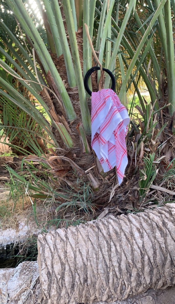 أ مــــــآ ن ♡ tweet media