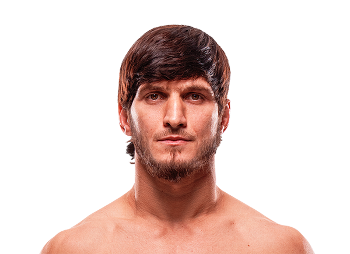 THE Fight Guy tweet media