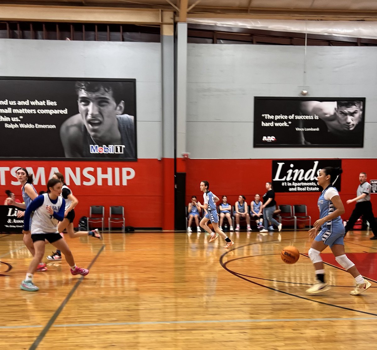 Courtz Limited Basketball Program tweet media