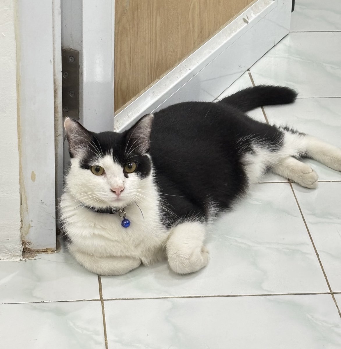 sal ⋆. 𐙚˚࿔ tweet media