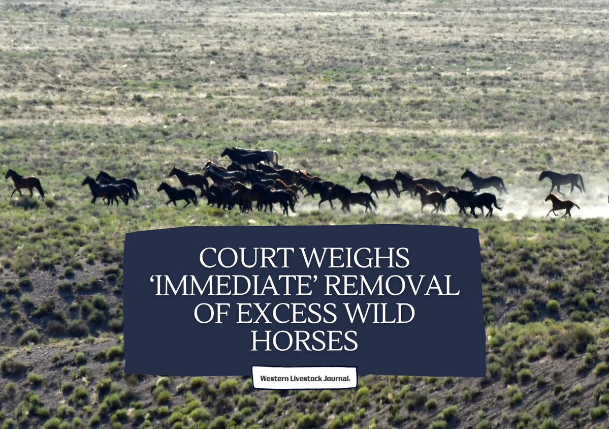 Western Livestock Journal tweet media