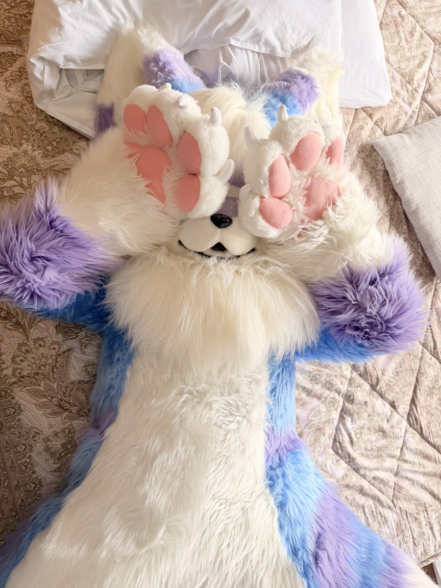 枕木🐉🥭 tweet media