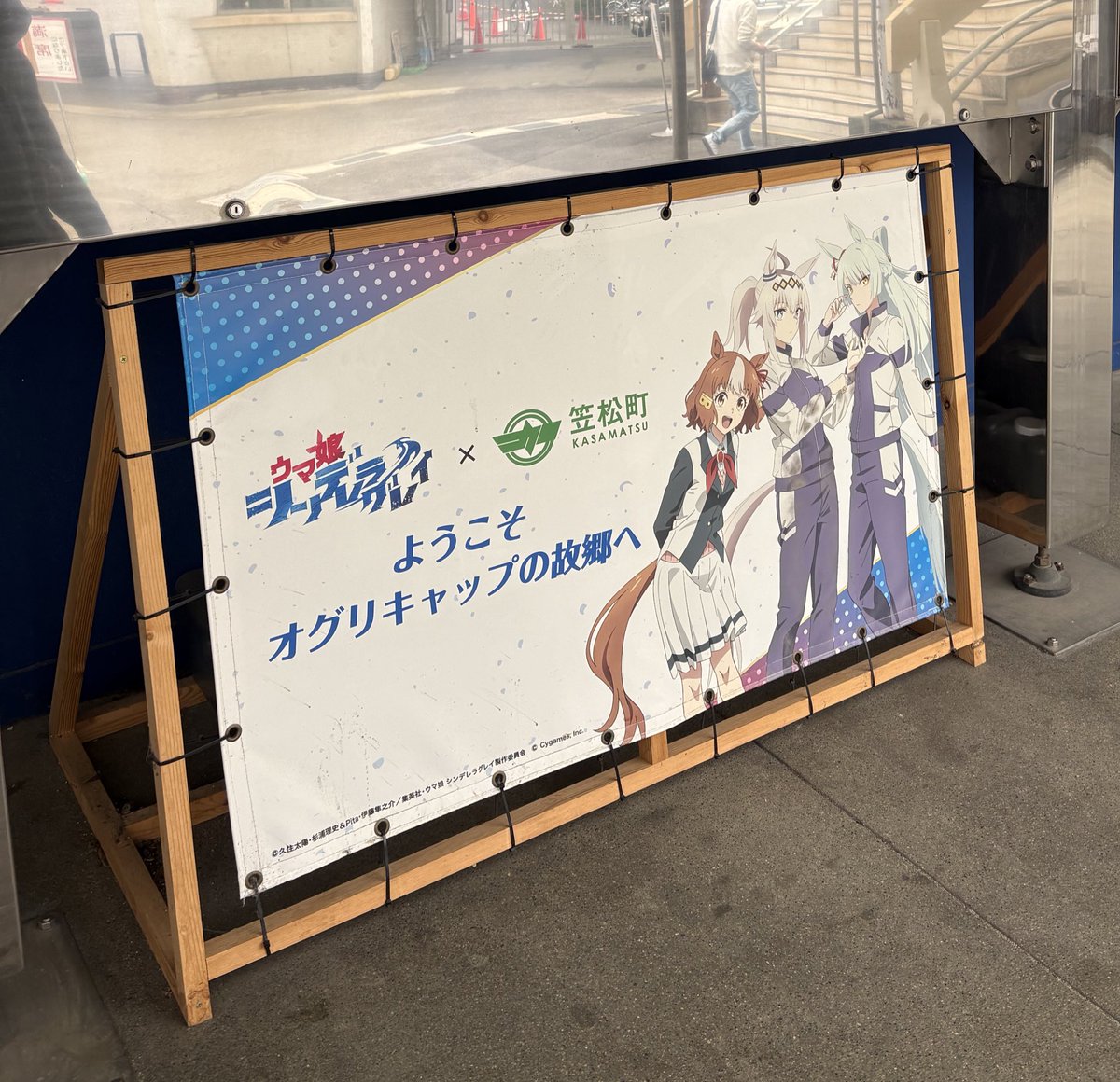 ボニボニア tweet media