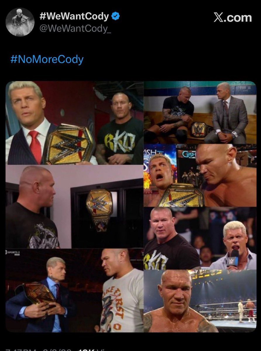 Steele #NoMoreCody | ORTON/LESNAR SZN | tweet media