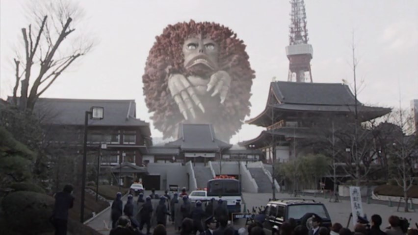 thiago ap tweet media